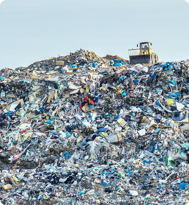 Why Everyday Plastics Are a Problem